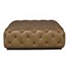 PLR-14903-WHEAT
